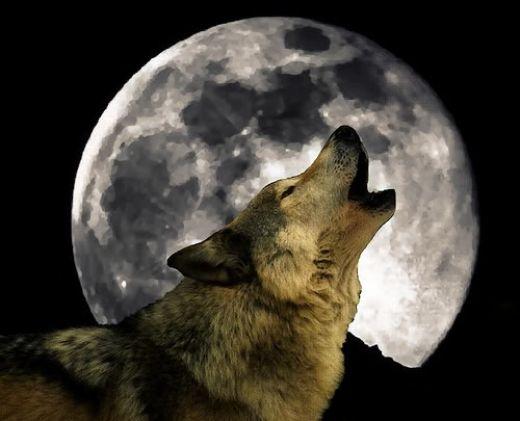 wolf moon