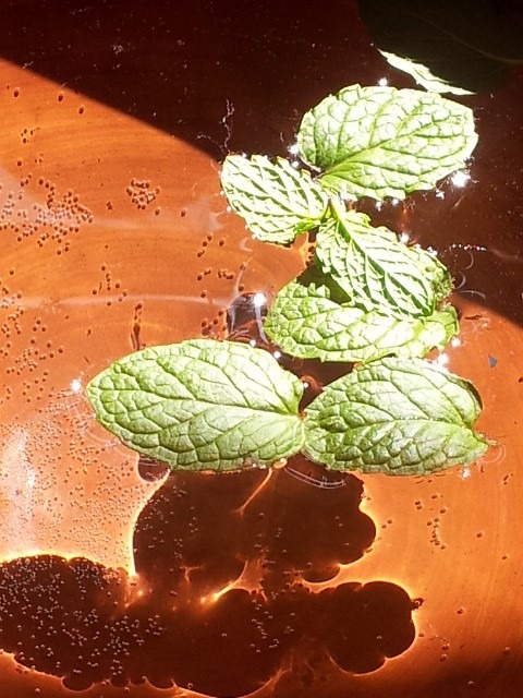 14693171289_39f15f73ab_o